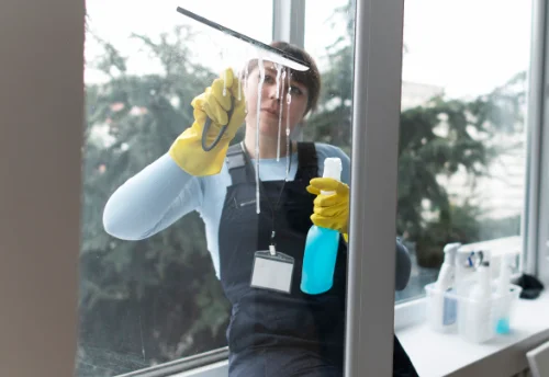 Nettoyage de vitres intérieures et extérieures à Larra